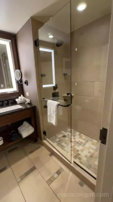 Wrangler Suite 1 King Bed bathroom picture #10