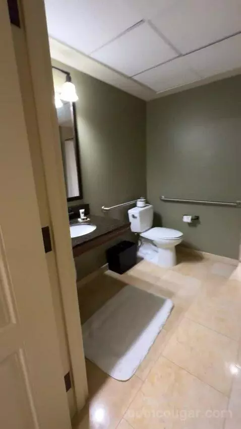 Texas Whiskey Suite bathroom picture #1