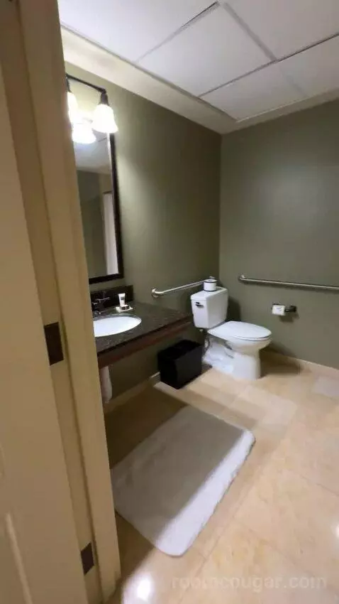 Texas Whiskey Suite bathroom picture #2