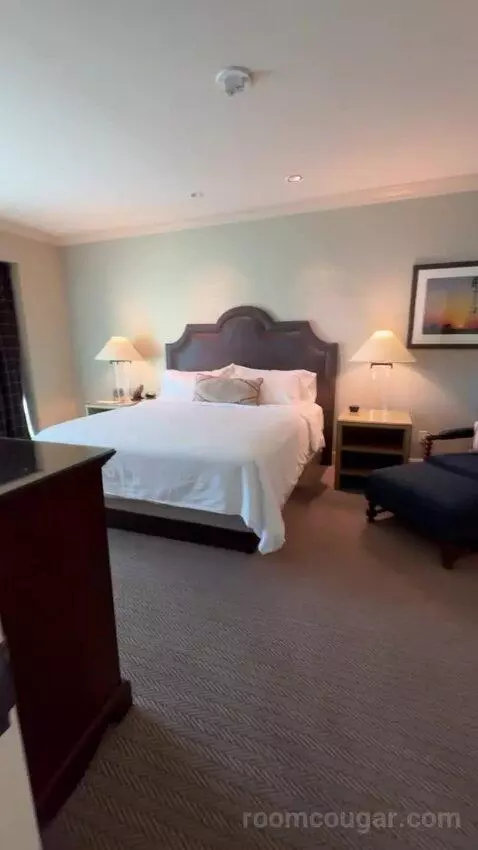 Texas Whiskey Suite bed picture #1