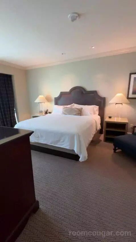 Texas Whiskey Suite bed picture #2
