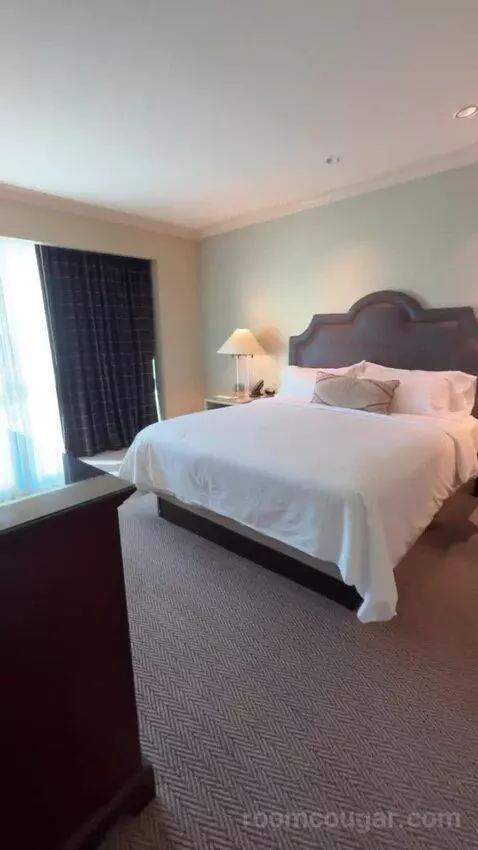 Texas Whiskey Suite bed picture #5