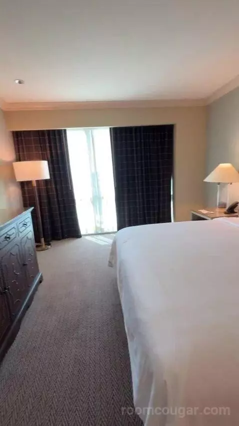 Texas Whiskey Suite bed picture #10