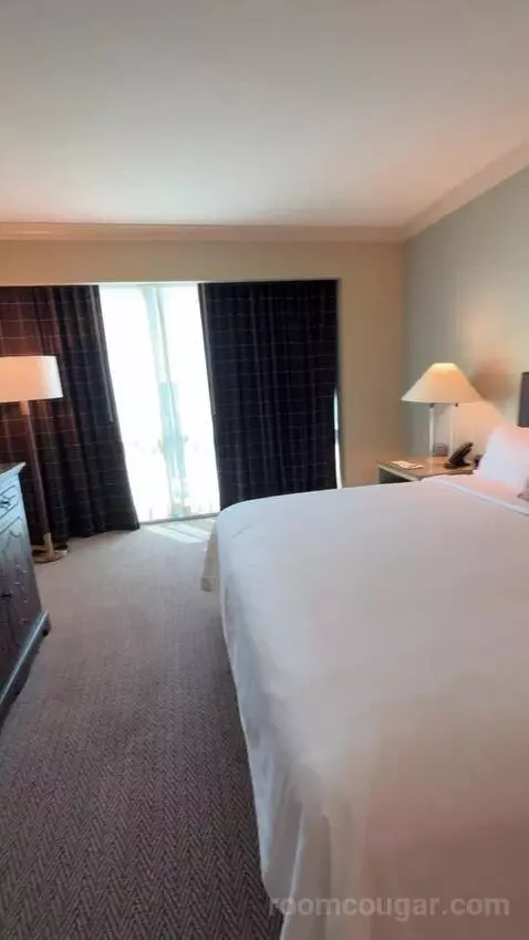 Texas Whiskey Suite bed picture #11