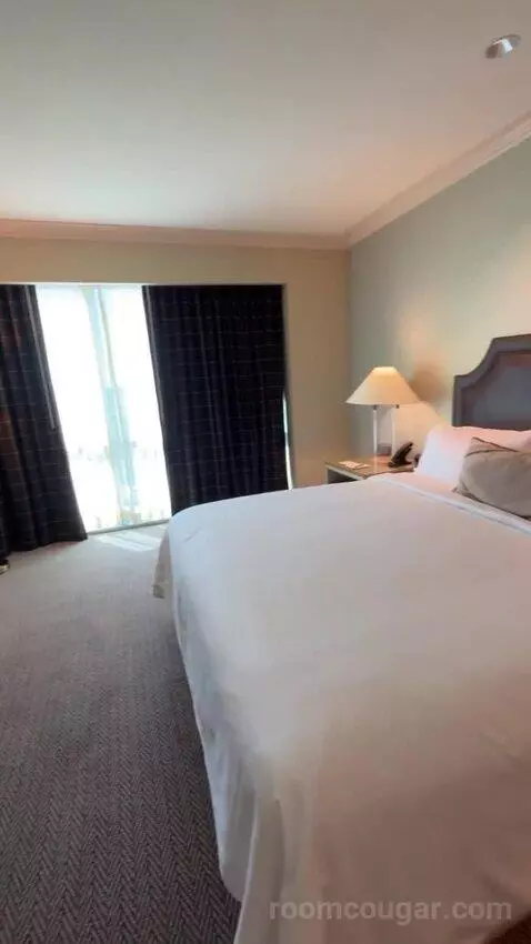 Texas Whiskey Suite bed picture #12