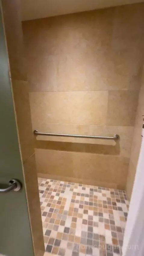 Texas Whiskey Suite bathroom picture #4