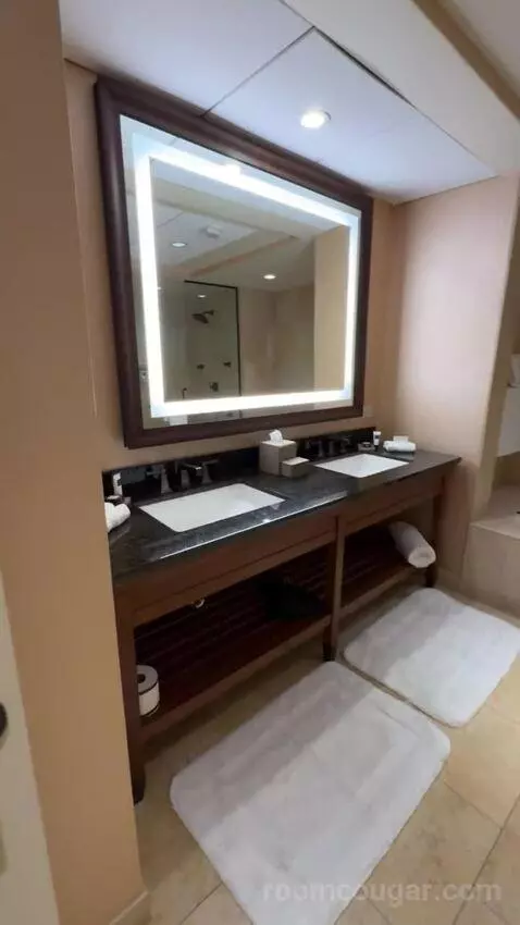 Texas Whiskey Suite bathroom picture #6