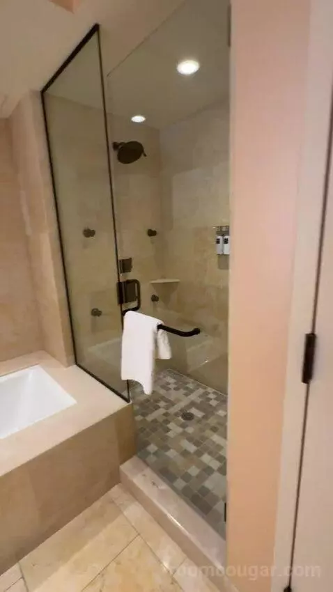 Texas Whiskey Suite bathroom picture #7