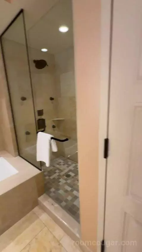 Texas Whiskey Suite bathroom picture #8