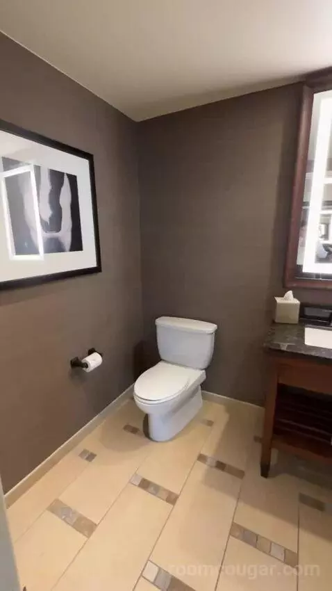 Leddy Suite 1 King Bed bathroom picture #2