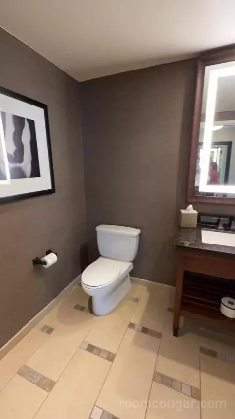 Leddy Suite 1 King Bed bathroom picture #4