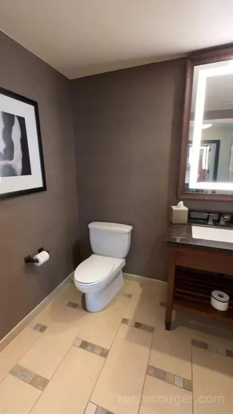 Leddy Suite 1 King Bed bathroom picture #5