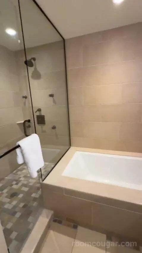 Leddy Suite 1 King Bed bathroom picture #8