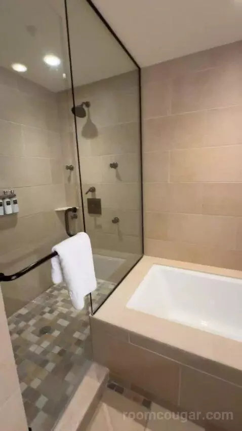Leddy Suite 1 King Bed bathroom picture #9