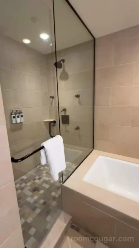 Leddy Suite 1 King Bed bathroom picture #10