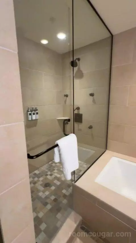 Leddy Suite 1 King Bed bathroom picture #11