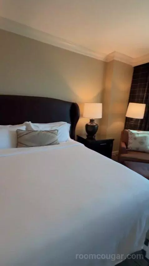Leddy Suite 1 King Bed bed picture #6