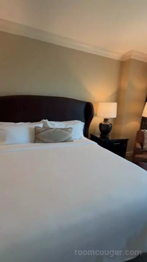 Leddy Suite 1 King Bed bed picture #7