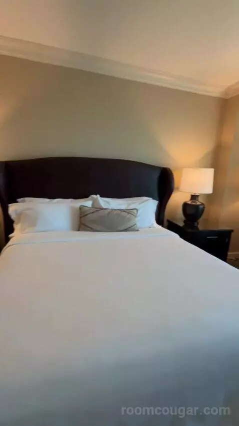 Leddy Suite 1 King Bed bed picture #8