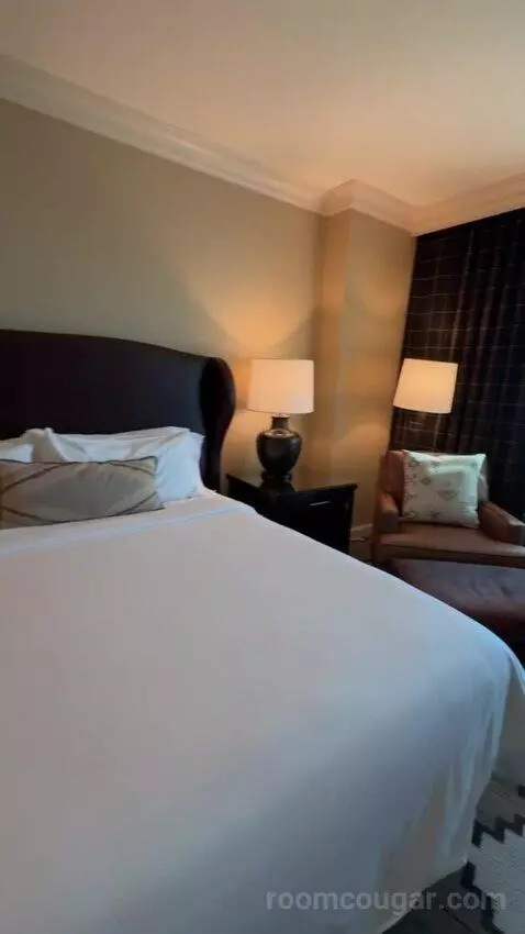 Leddy Suite 1 King Bed picture #5