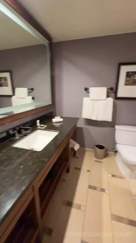 Spacious Colonial Corner Room 1 King Bed bathroom picture #6