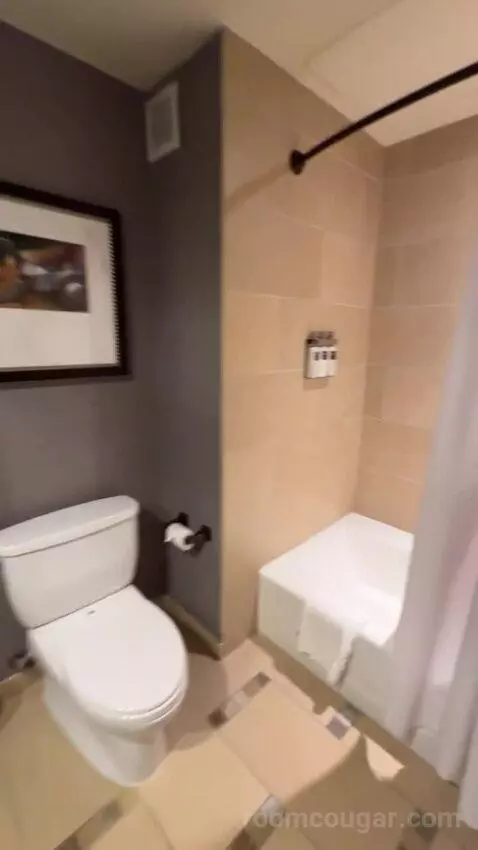 Spacious Colonial Corner Room 1 King Bed bathroom picture #7