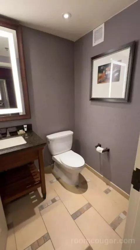 Resistol Suite 1 King Bed bathroom picture #1
