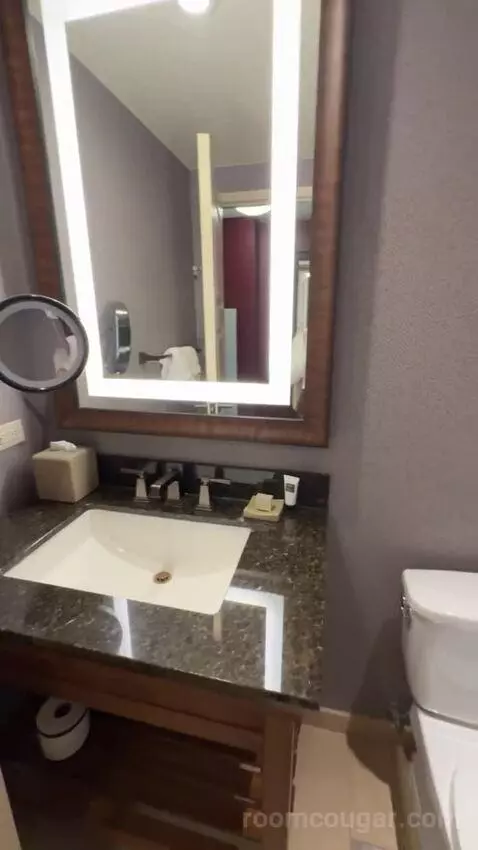 Resistol Suite 1 King Bed bathroom picture #2