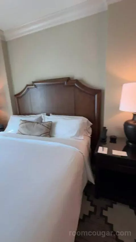 Resistol Suite 1 King Bed bed picture #2