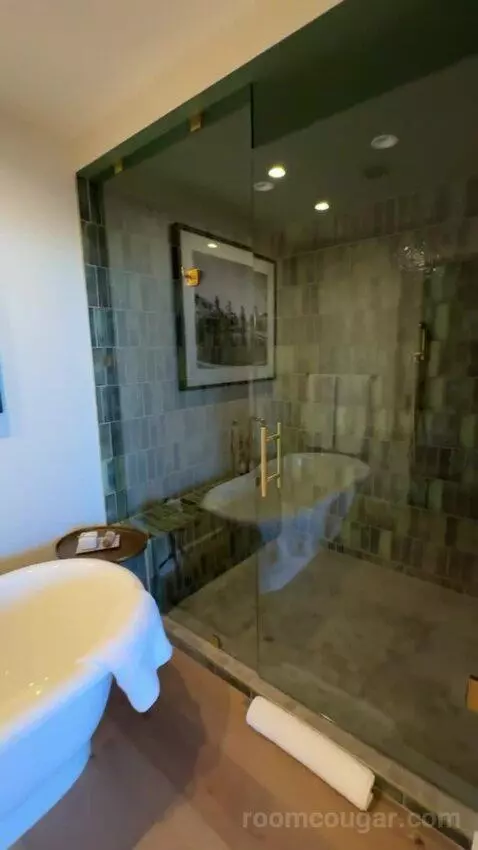 King Loft bathroom picture #6