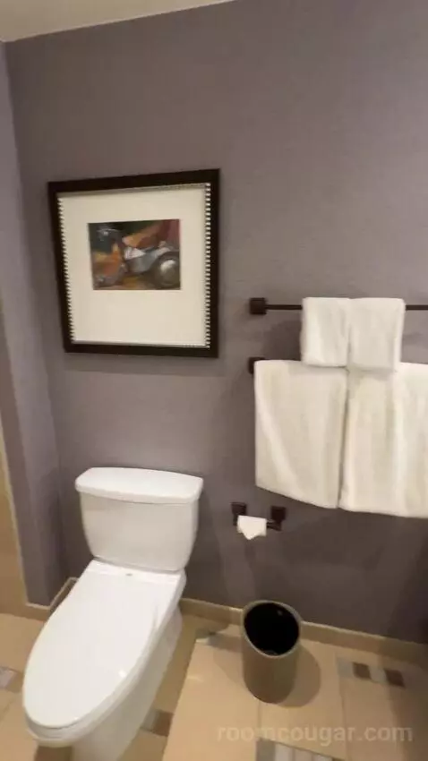 Classic Deluxe Room 2 Queen Beds bathroom picture #5