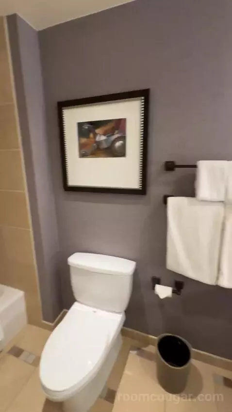 Classic Deluxe Room 2 Queen Beds bathroom picture #6