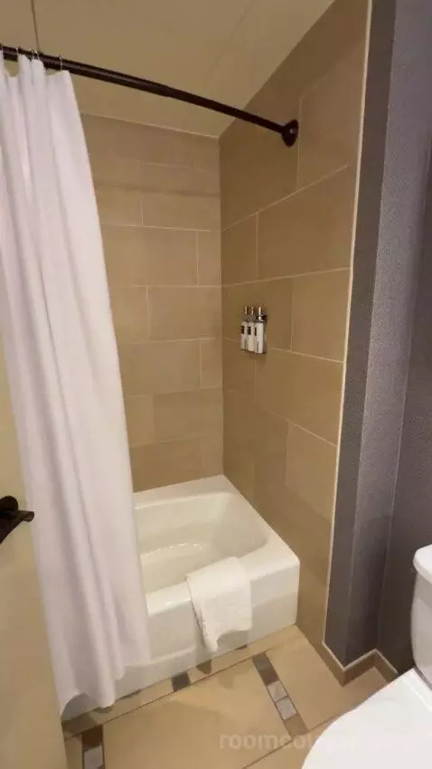 Classic Deluxe Room 2 Queen Beds bathroom picture #7