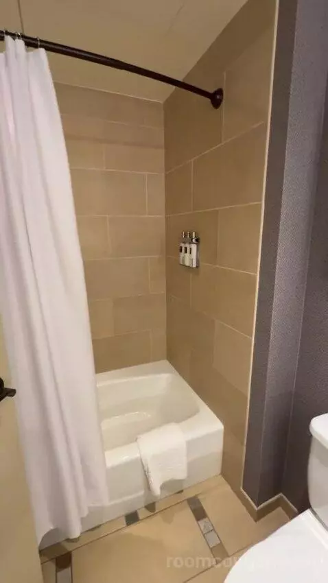 Classic Deluxe Room 2 Queen Beds bathroom picture #8