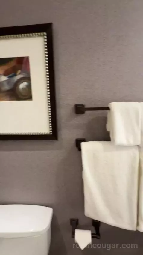 Classic Deluxe Room 2 Queen Beds bathroom picture #9
