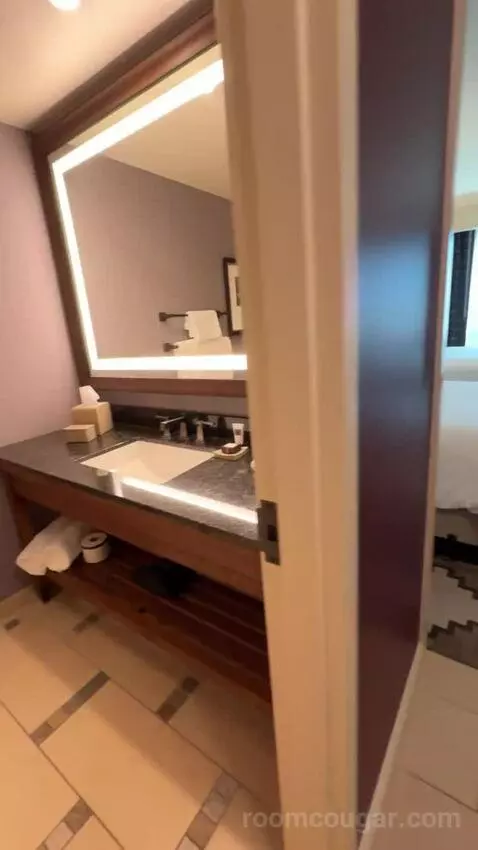 Classic Deluxe Room 2 Queen Beds bathroom picture #2
