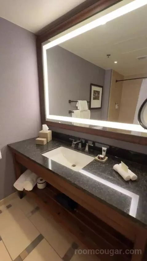 Classic Deluxe Room 2 Queen Beds bathroom picture #3