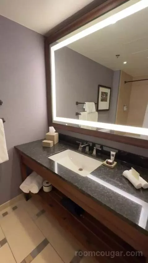 Classic Deluxe Room 2 Queen Beds bathroom picture #4