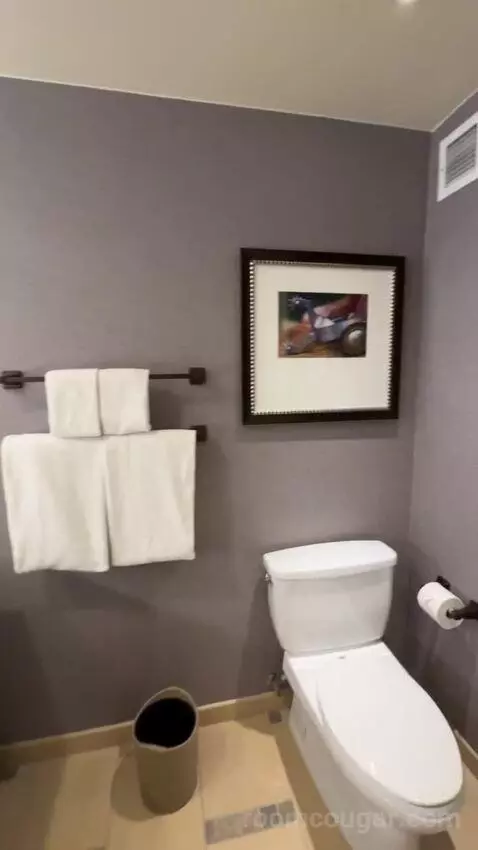 Classic Deluxe Room 1 King Bed bathroom picture #5