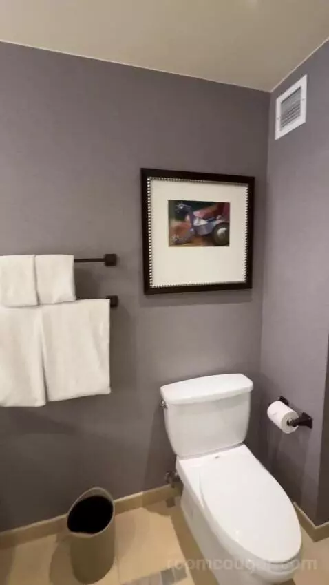Classic Deluxe Room 1 King Bed bathroom picture #6
