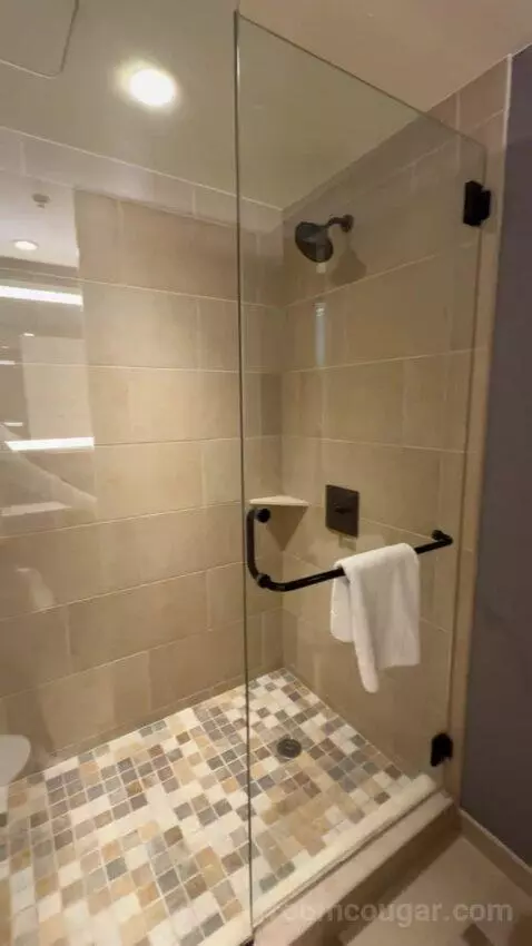Classic Deluxe Room 1 King Bed bathroom picture #9