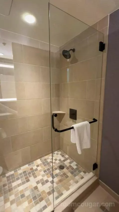 Classic Deluxe Room 1 King Bed bathroom picture #10