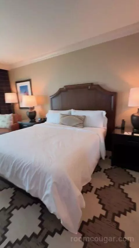 Classic Deluxe Room 1 King Bed bed picture #1