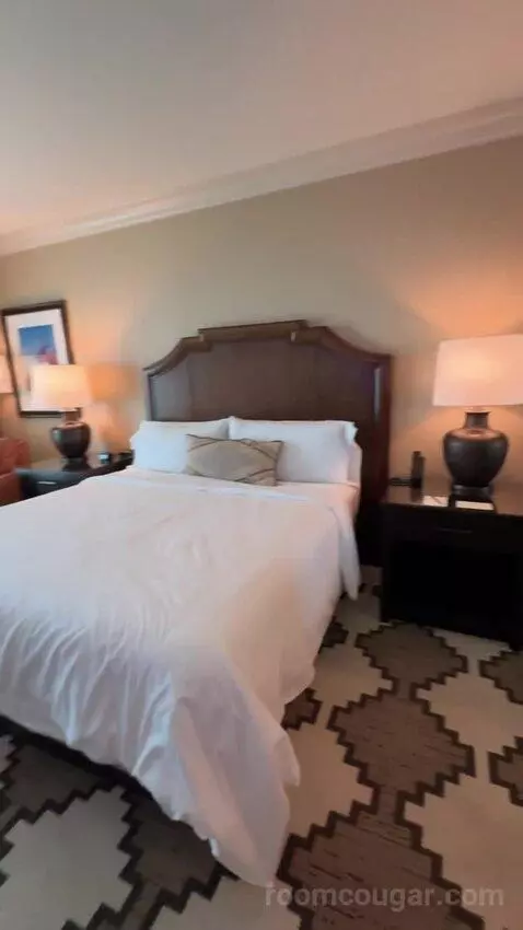Classic Deluxe Room 1 King Bed bed picture #2