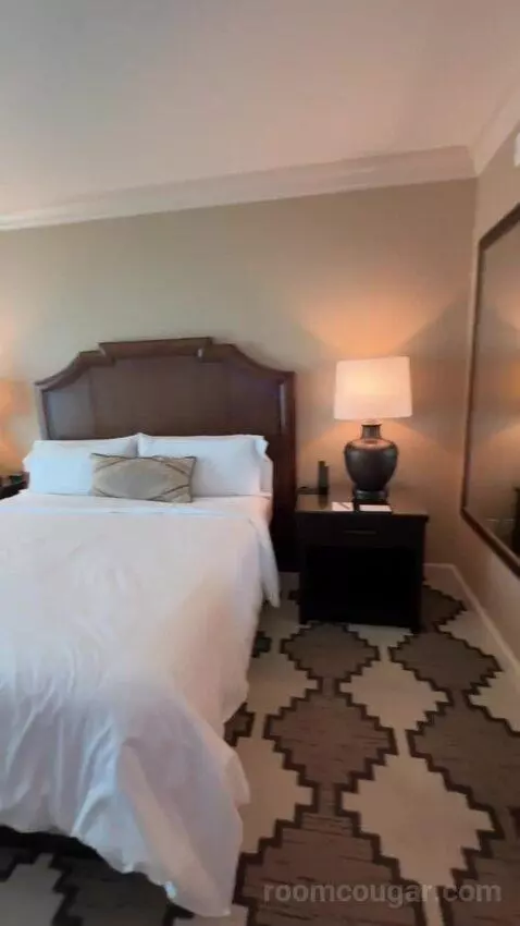 Classic Deluxe Room 1 King Bed bed picture #4