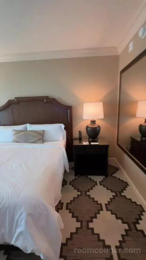 Classic Deluxe Room 1 King Bed bed picture #5