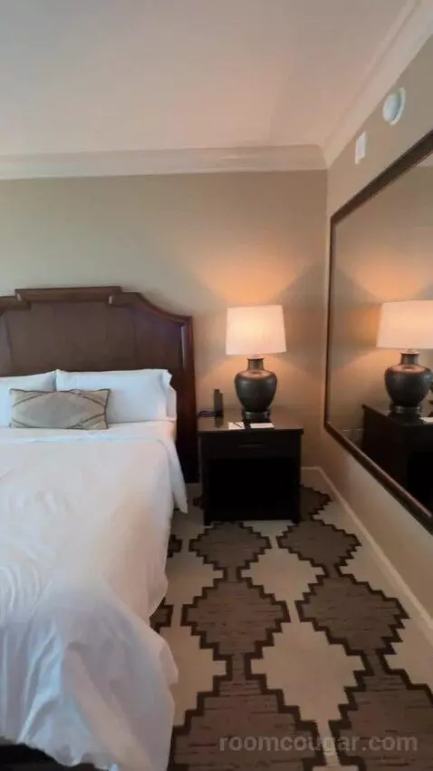 Classic Deluxe Room 1 King Bed bed picture #6