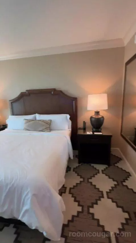 Classic Deluxe Room 1 King Bed picture #18
