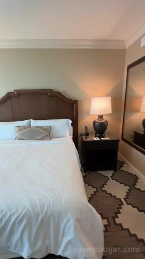 Classic Deluxe Room 1 King Bed bed picture #7