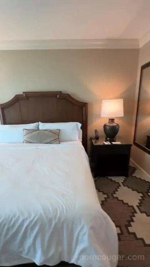 Classic Deluxe Room 1 King Bed bed picture #8